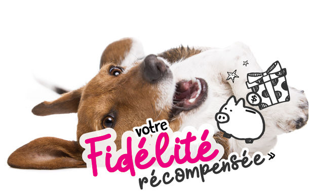 Gagnez des bons de réduction !